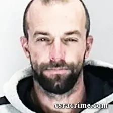 Robert Sheehan booking photo