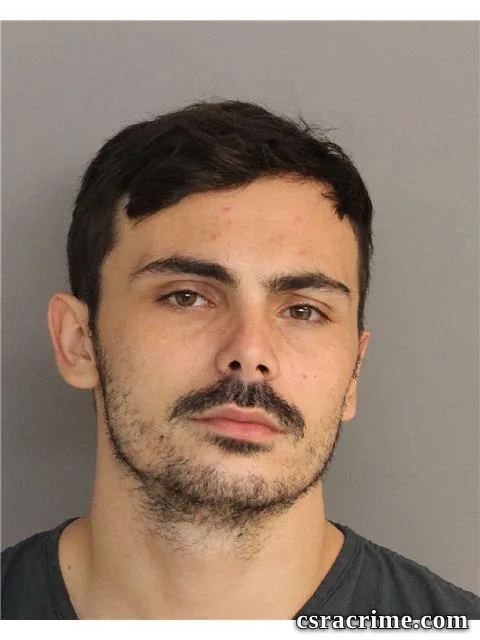 Robert Snellings booking photo
