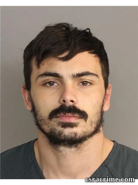 Robert Snellings booking photo