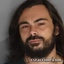 Robert Snellings booking photo
