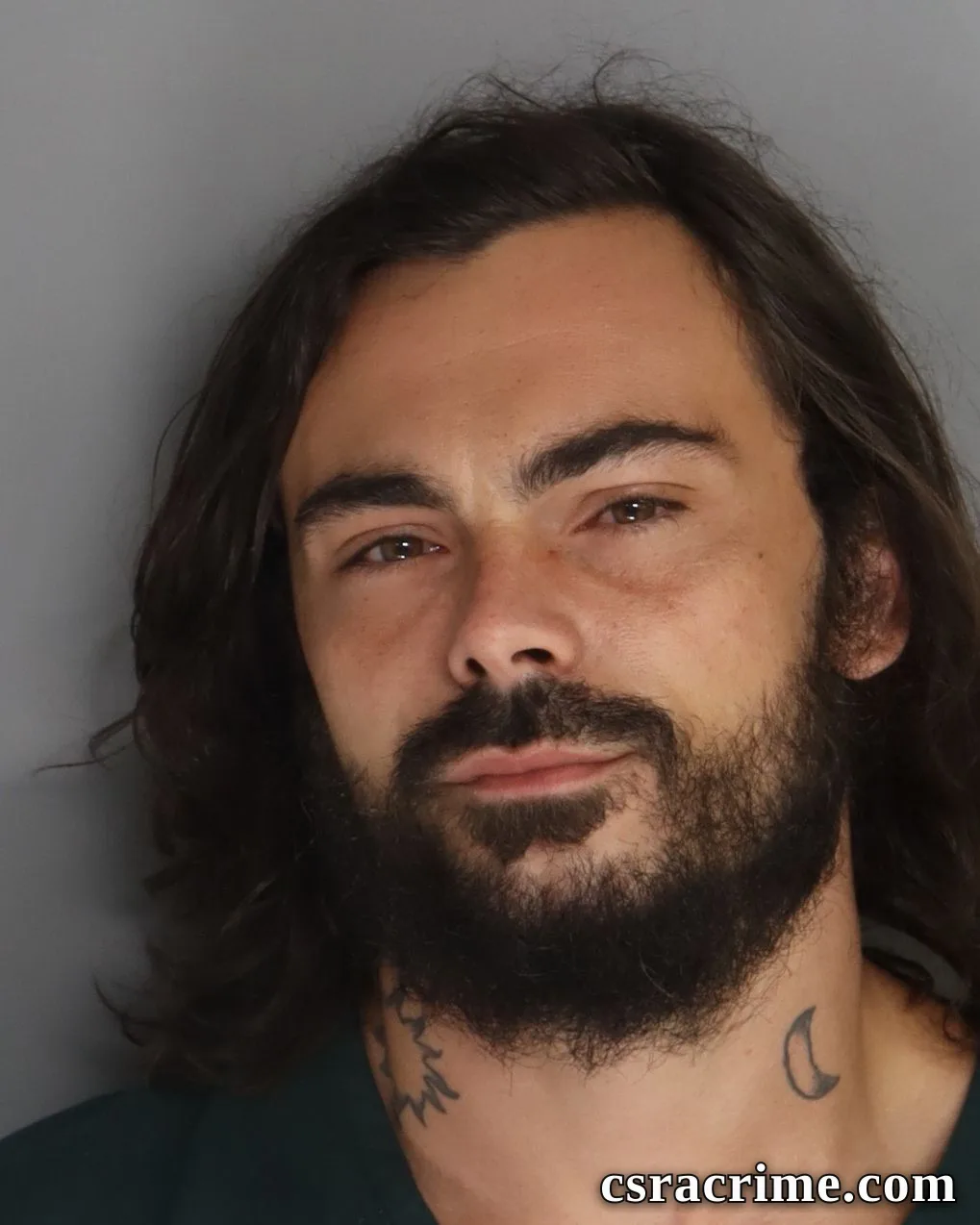 Robert Snellings booking photo