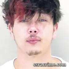 Robert Steel booking photo