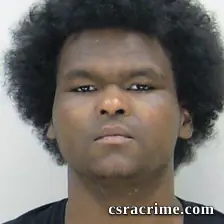 Robert Sullivan booking photo