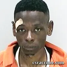 Robert Williams booking photo