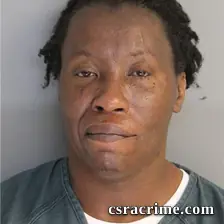 Roberta Bellinger booking photo