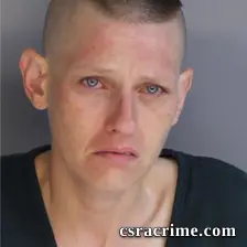 Robin Bairefoot booking photo