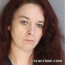 Robin Chester booking photo