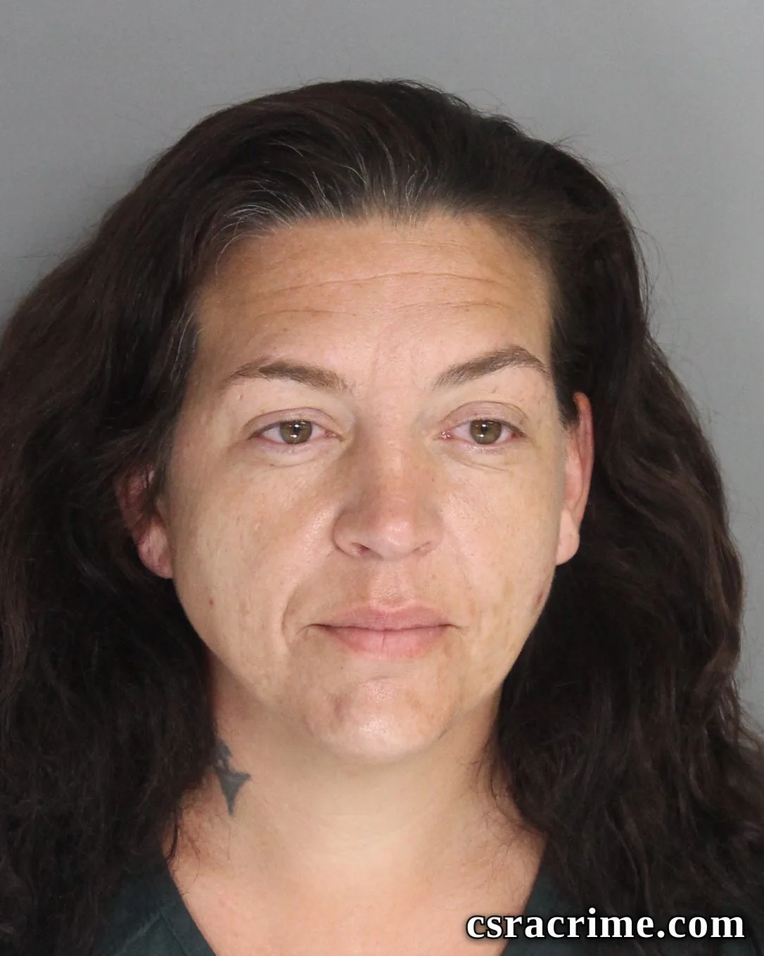 Robin Grogg booking photo