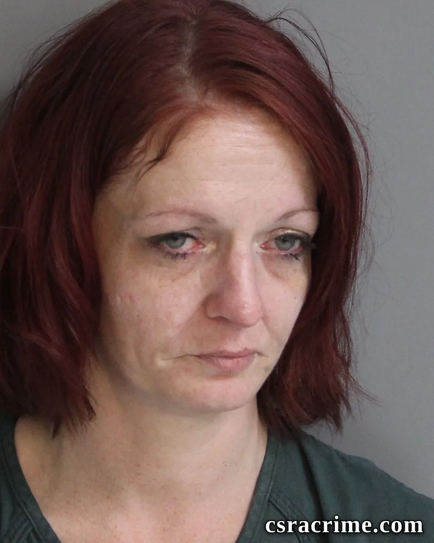 Robin Holcombe booking photo
