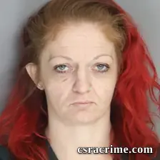 Robin Holcombe booking photo