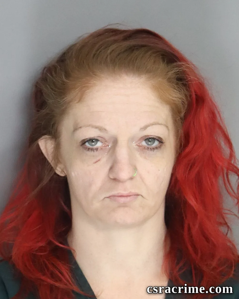 Robin Holcombe booking photo