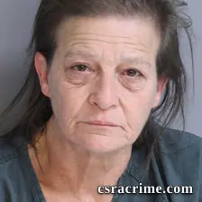 Robin Light booking photo