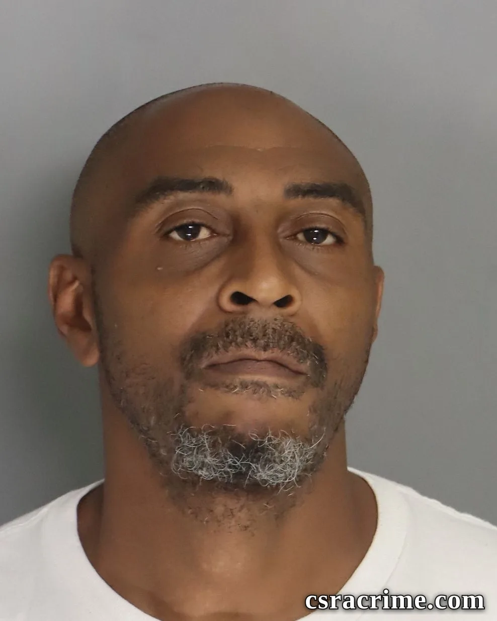 Robin Richardson booking photo