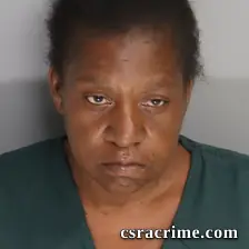 Robin Santos booking photo
