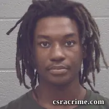 Rodane Waldin booking photo