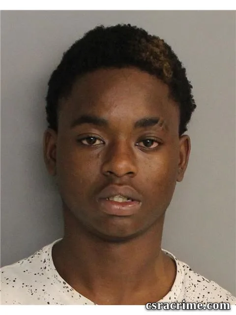 Rodrick Johnson booking photo