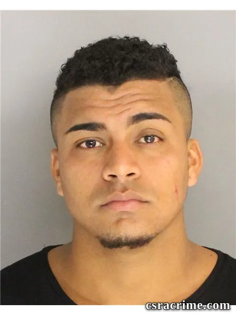 Rodrigo Antunez Castro booking photo