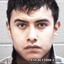 Roel Alvarado booking photo