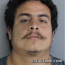 Rogelio Vega JR booking photo