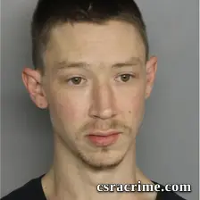 Roger Fricke III booking photo