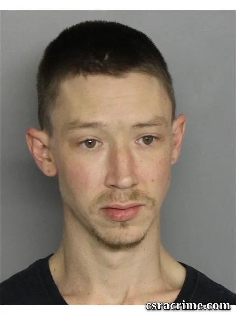 Roger Fricke III booking photo