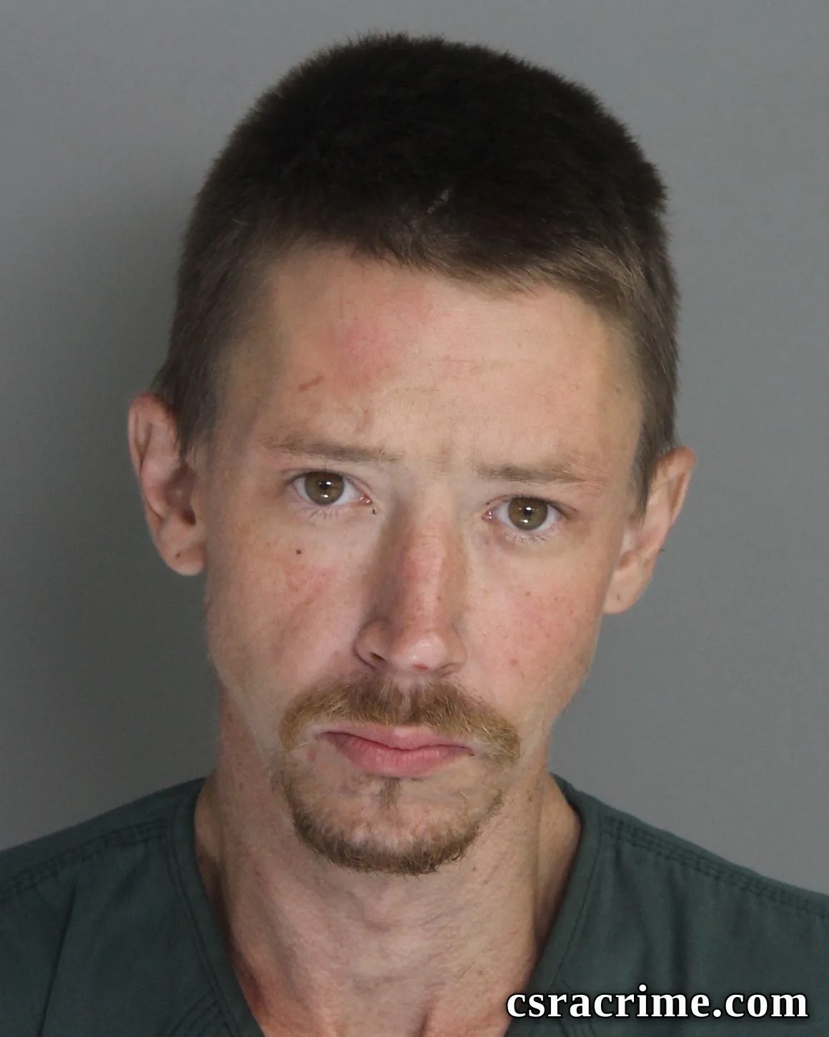Roger Fricke III booking photo