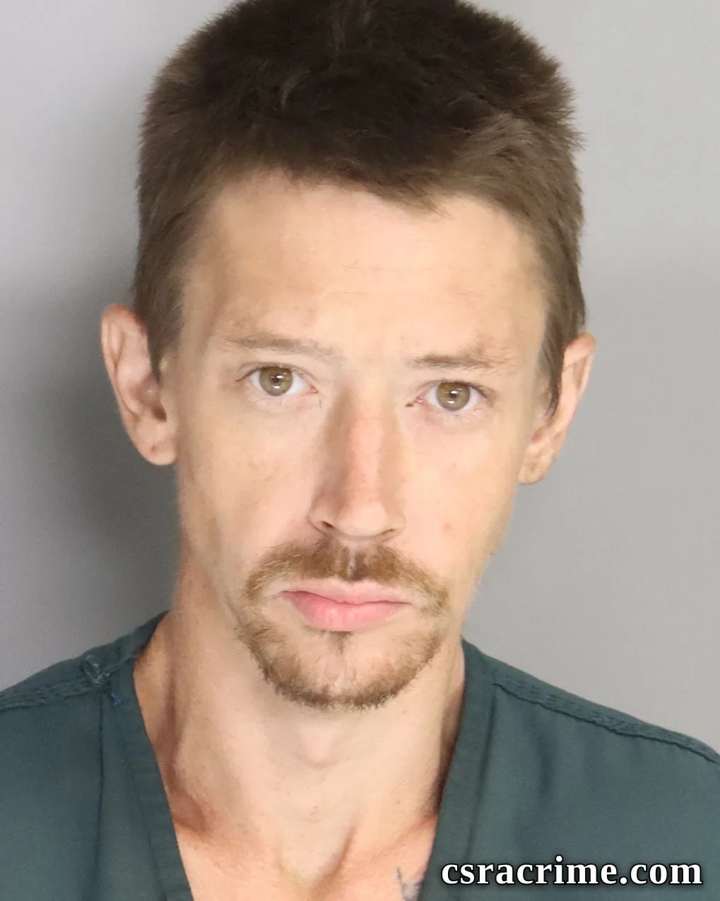 Roger Fricke III booking photo