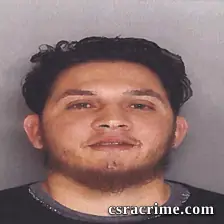 Rohandy Fernandez booking photo