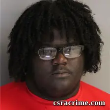 Rohsheen Johnson booking photo