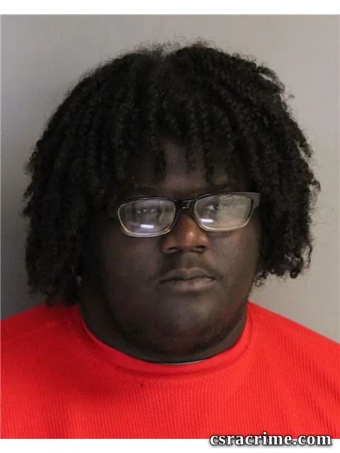 Rohsheen Johnson booking photo