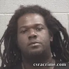 Rohsheen Rodriguez Johnson booking photo