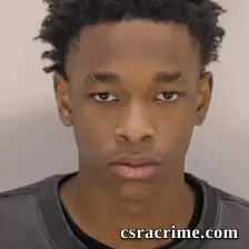 Romarion Lamar Goodwin booking photo