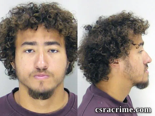 Romeo Shelton booking photo