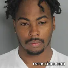 Romon Williams booking photo