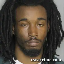 Ron Johnson booking photo