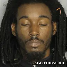 Ron Johnson booking photo