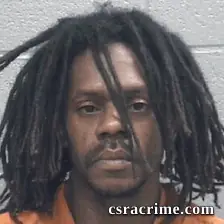 Ronald Burton JR booking photo