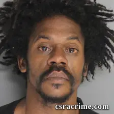 Ronald Burton JR booking photo