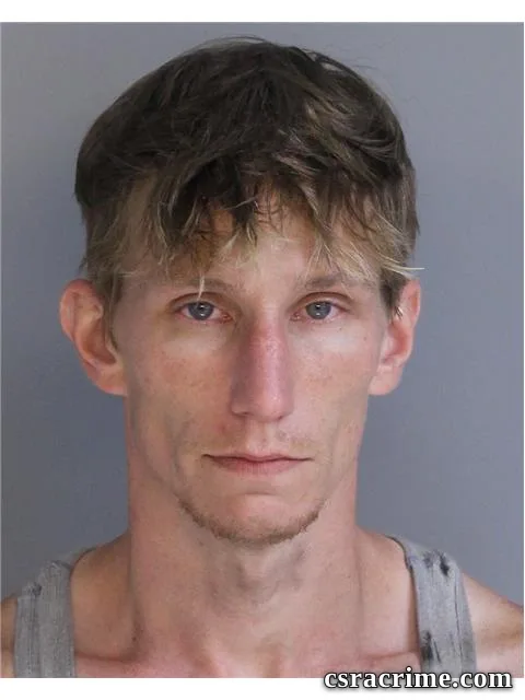 Ronald Cummins booking photo
