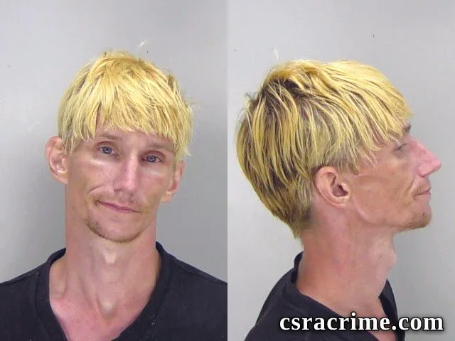 Ronald Cummins booking photo