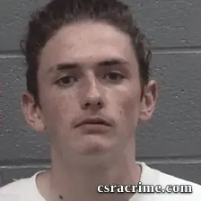 Ronald Lee Combs IV booking photo