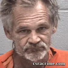 Ronald Lee Williams booking photo