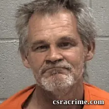 Ronald Lee Williams booking photo