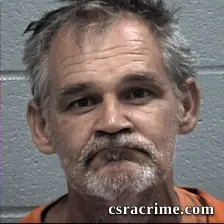 Ronald Lee Williams booking photo