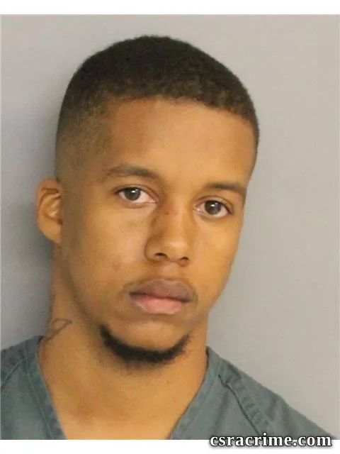 Ronald Long JR booking photo