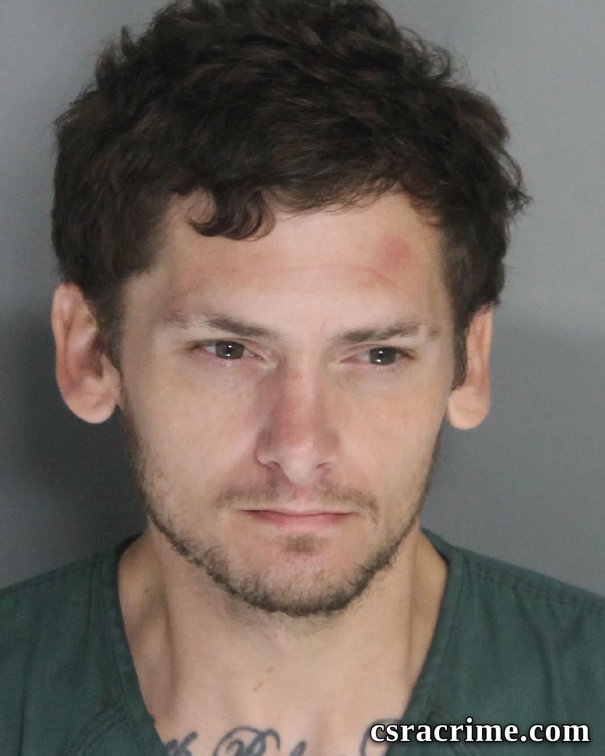 Ronald Malpass booking photo