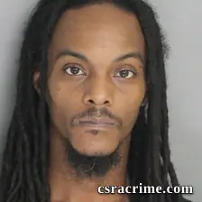Ronald Snell booking photo