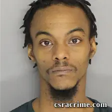Ronald Snell JR booking photo