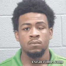 Ronald Young JR booking photo