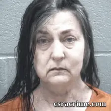 Ronda Cook booking photo